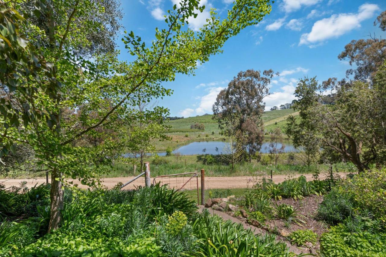 Вилла Bendalong - Rural Retreat, Short Drive To Cbd Ориндж Экстерьер фото